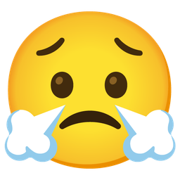 Worried face and Face with steam from nose