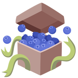 wrapped gift and blueberries