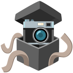 wrapped gift and camera