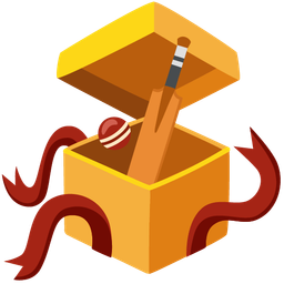 wrapped gift and cricket game