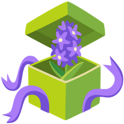 wrapped gift and hyacinth