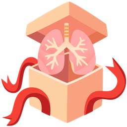 wrapped gift and lungs