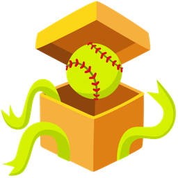 wrapped gift and softball