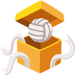 wrapped gift and volleyball