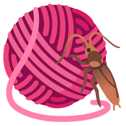 yarn and cockroach