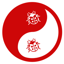 yin yang and lady beetle