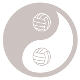 yin yang and volleyball