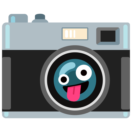 Zany face and Camera