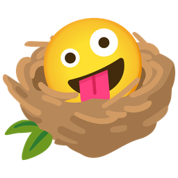 zany face and empty nest