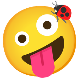 zany face and lady beetle