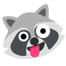 zany face and raccoon