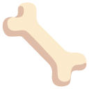 Bone