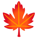 Maple leaf