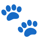 Paw prints