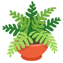 Potted plant